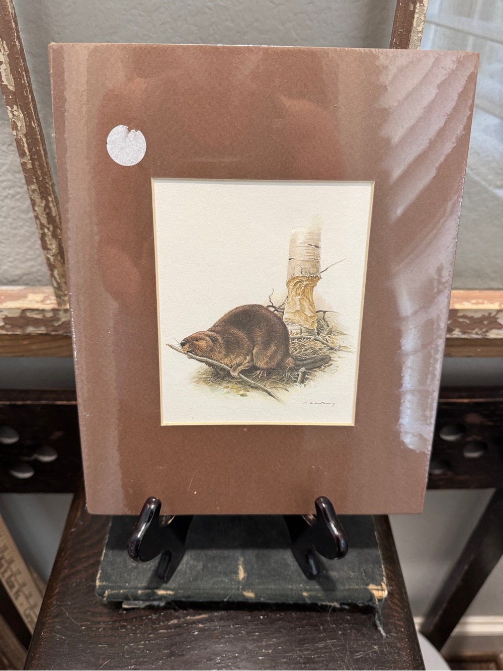 New Vintage Brown Wildlife Art Print with Beaver Illustration